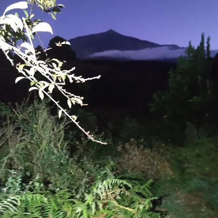 شقة Apartamento Orilla Del Mar Icod De Los Vinos Tenerife San Marcos (Tenerife)